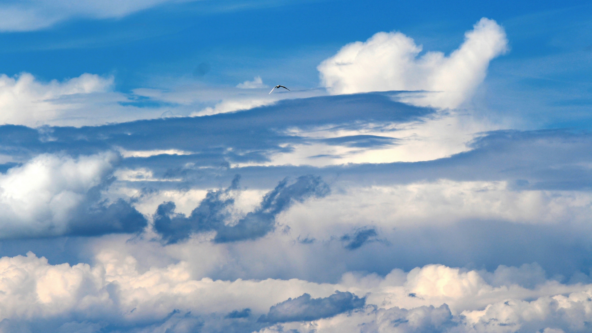 Measuring the atmospheric boundary using microwaves
